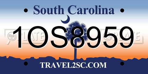 1OS8959 South Carolina License Plate