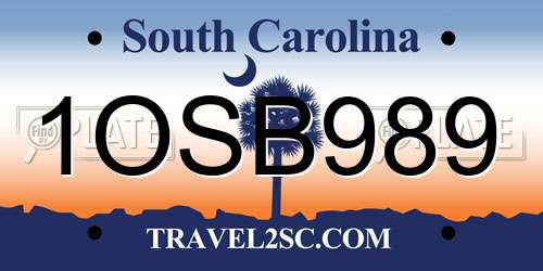 1OSB989 South Carolina License Plate