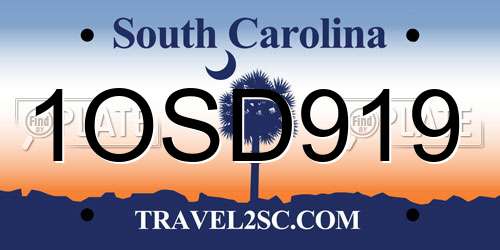 1OSD919 South Carolina License Plate