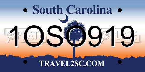 1OSO919 South Carolina License Plate