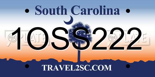 1OSS222 South Carolina License Plate