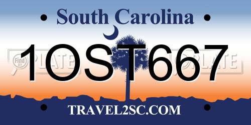 1OST667 South Carolina License Plate