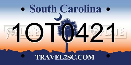1OT0421 South Carolina License Plate