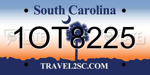 1OT8225 South Carolina License Plate