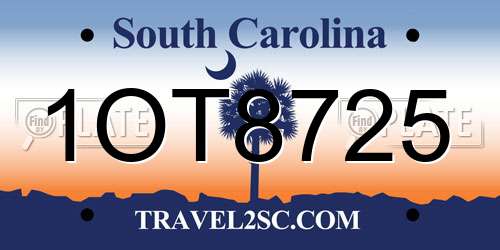 1OT8725 South Carolina License Plate