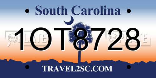1OT8728 South Carolina License Plate