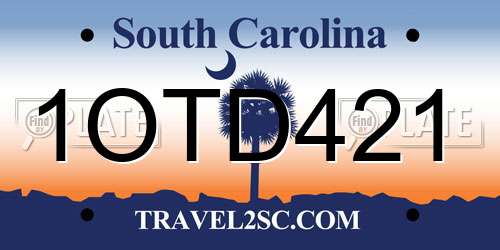 1OTD421 South Carolina License Plate