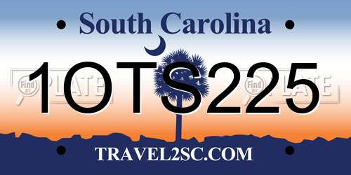1OTS225 South Carolina License Plate