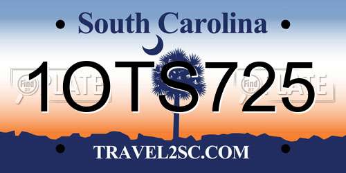 1OTS725 South Carolina License Plate