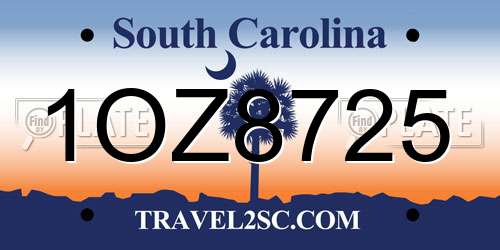 1OZ8725 South Carolina License Plate