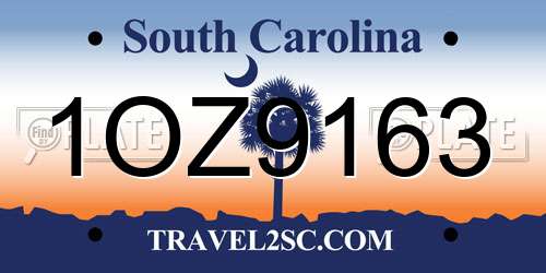 1OZ9163 South Carolina License Plate