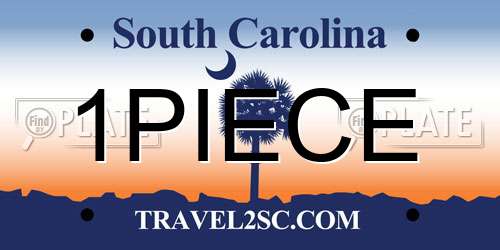 1PIECE South Carolina License Plate