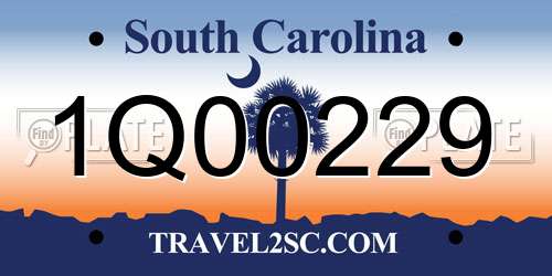 1Q00229 South Carolina License Plate