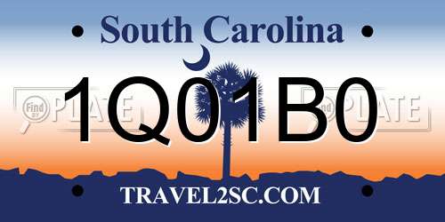 1Q01B0 South Carolina License Plate