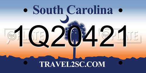 1Q20421 South Carolina License Plate