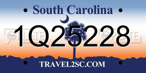 1Q25228 South Carolina License Plate