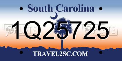 1Q25725 South Carolina License Plate