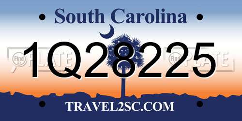1Q28225 South Carolina License Plate