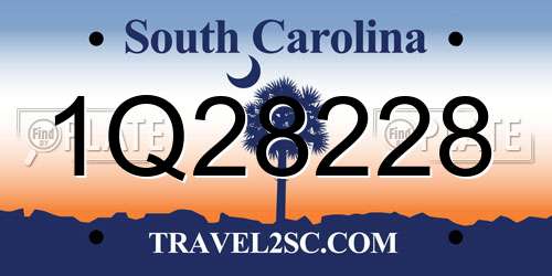 1Q28228 South Carolina License Plate