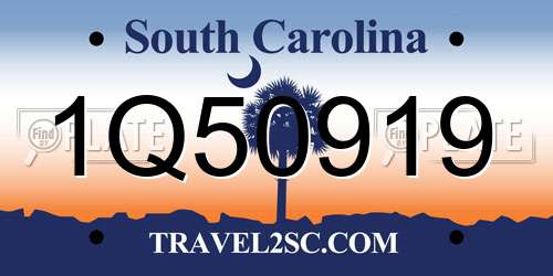 1Q50919 South Carolina License Plate