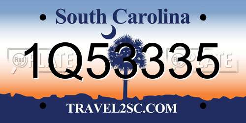 1Q53335 South Carolina License Plate