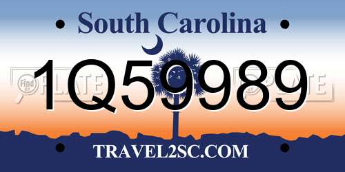 1Q59989 South Carolina License Plate