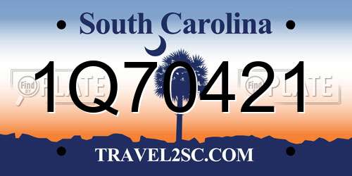 1Q70421 South Carolina License Plate