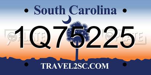 1Q75225 South Carolina License Plate