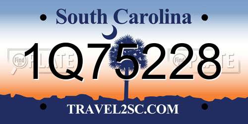 1Q75228 South Carolina License Plate