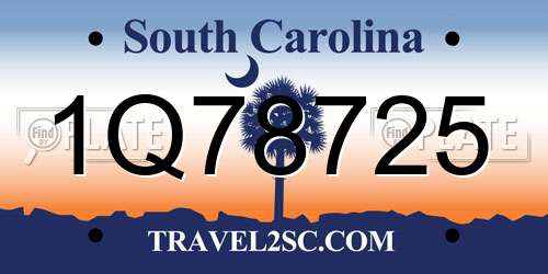 1Q78725 South Carolina License Plate