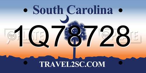 1Q78728 South Carolina License Plate