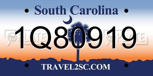 1Q80919 South Carolina License Plate