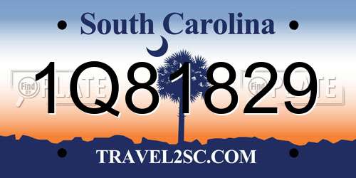 1Q81829 South Carolina License Plate