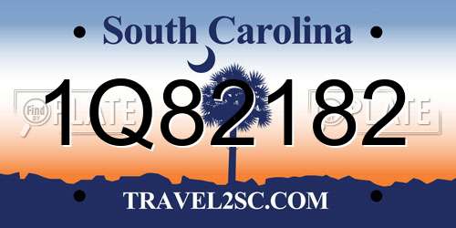 1Q82182 South Carolina License Plate