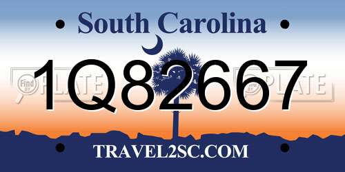 1Q82667 South Carolina License Plate