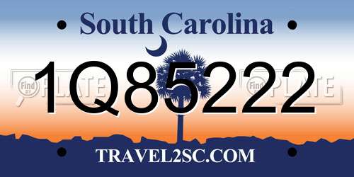 1Q85222 South Carolina License Plate
