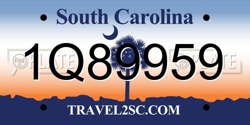 1Q89959 South Carolina License Plate