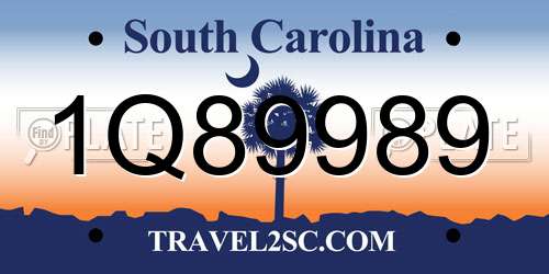 1Q89989 South Carolina License Plate