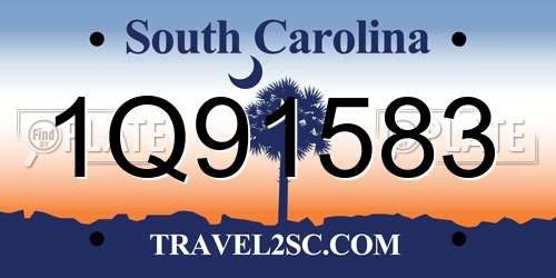 1Q91583 South Carolina License Plate