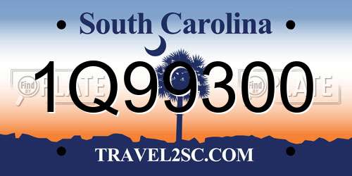 1Q99300 South Carolina License Plate