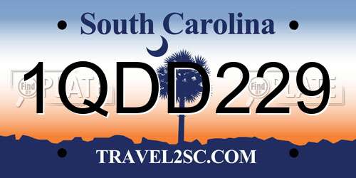 1QDD229 South Carolina License Plate