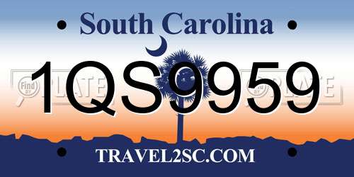 1QS9959 South Carolina License Plate