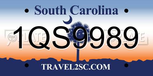 1QS9989 South Carolina License Plate