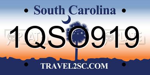 1QSO919 South Carolina License Plate