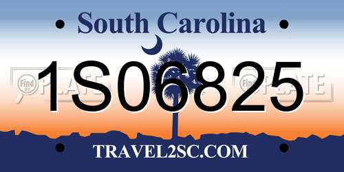 1S06825 South Carolina License Plate