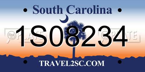 1S08234 South Carolina License Plate
