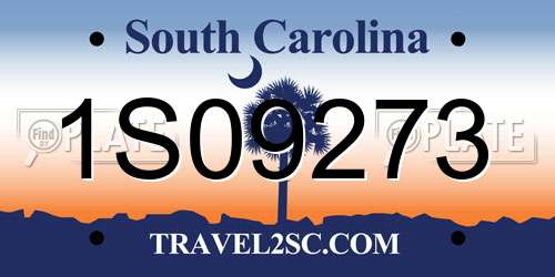 1S09273 South Carolina License Plate