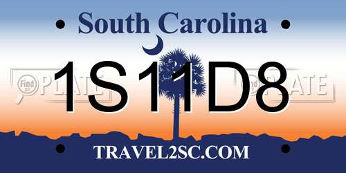 1S11D8 South Carolina License Plate