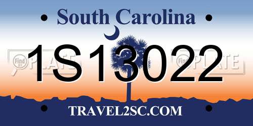 1S13022 South Carolina License Plate