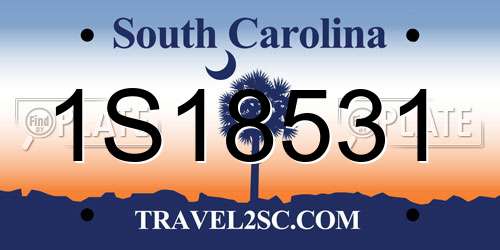 1S18531 South Carolina License Plate